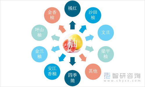 2021年中国柚子行业进出口贸易分析