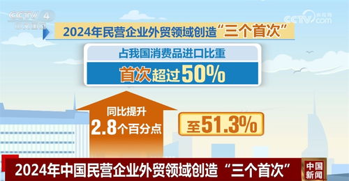 透过数据看2024年民营企业外贸成绩单 三大类外贸经营主体 风生水起