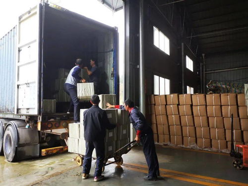 16吨红茶出山,远销马来西亚